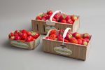 berries-12020-cardboard-tray-punnet-NNZ